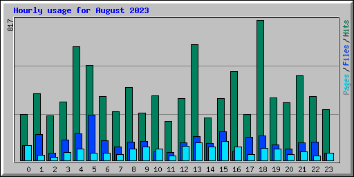 Hourly usage for August 2023