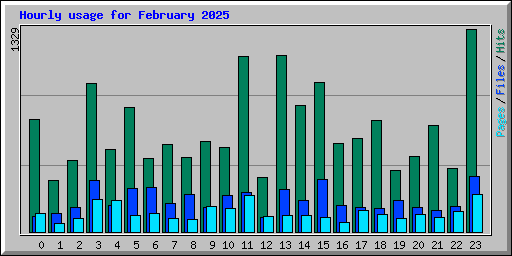 Hourly usage for February 2025
