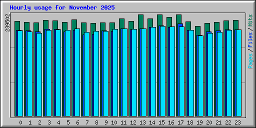 Hourly usage for November 2025
