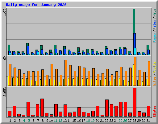 Daily usage for January 2020