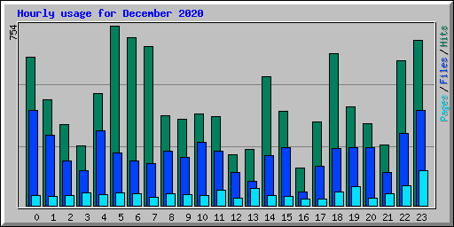 Hourly usage for December 2020