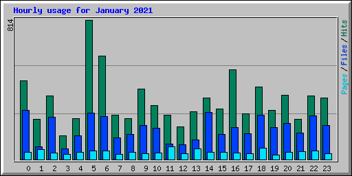 Hourly usage for January 2021