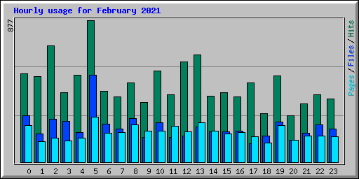 Hourly usage for February 2021