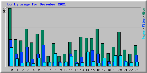 Hourly usage for December 2021