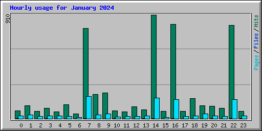 Hourly usage for January 2024