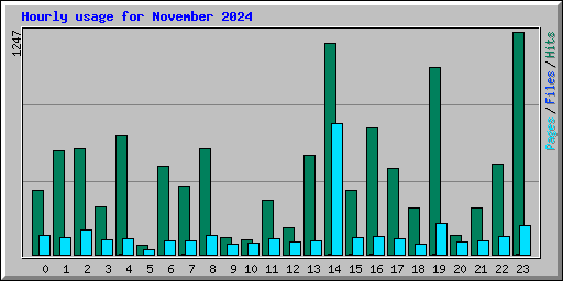 Hourly usage for November 2024