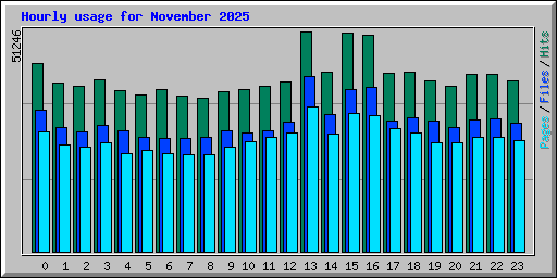 Hourly usage for November 2025