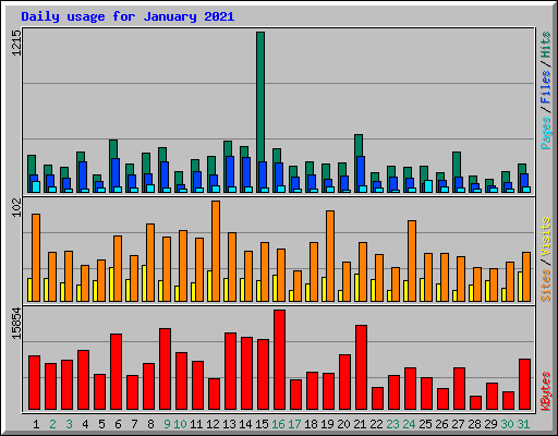 Daily usage for January 2021