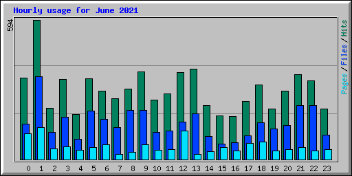 Hourly usage for June 2021