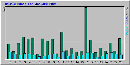 Hourly usage for January 2025